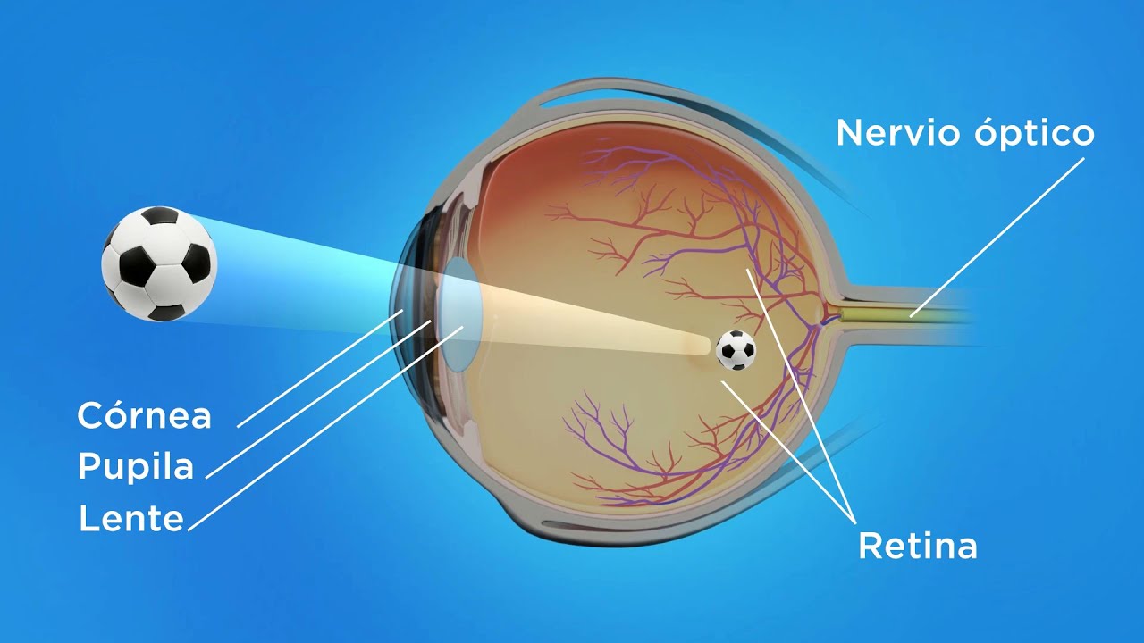 La ciencia ya desarrolla lentes de contacto con visión nocturna