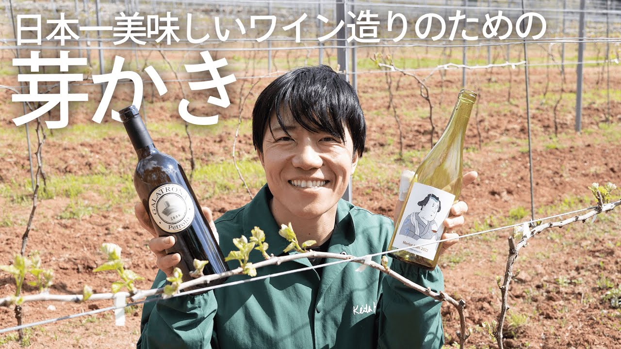 【芽かき】日本一美味しいワイン造りを目指して