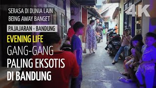 Gang-gang dan Kampung Paling Eksotis di Bandung - Gang-gang Baladewa, antara Pajajaran dan Pasteur