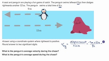 Another average velocity and speed example