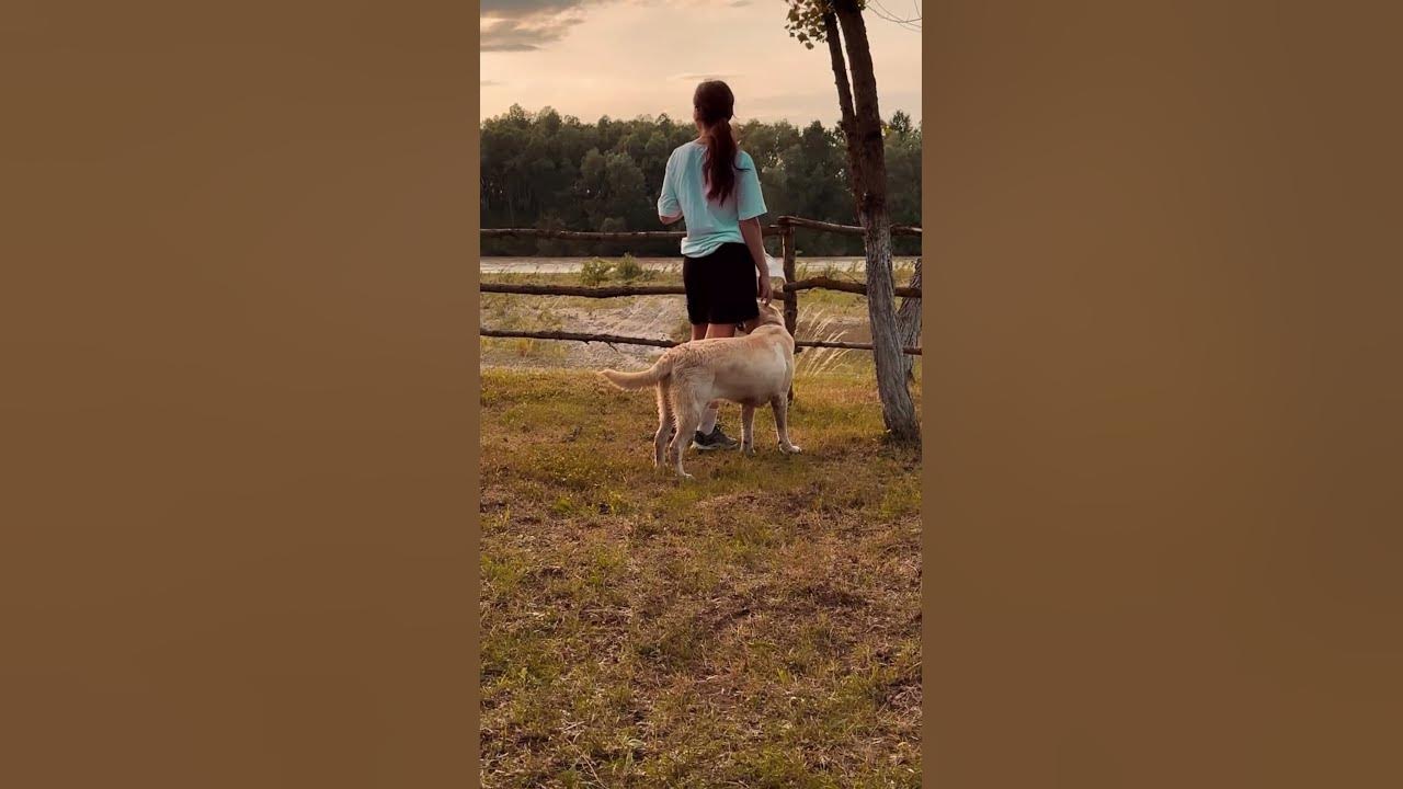 прогулянка з собакой - YouTube