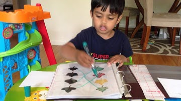 Leaves shadow matching file folder activity