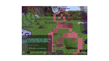 future fly hack on 6b6t (from hausemasteer)