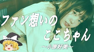 【小原好美ヒストリー】すぐに詳しくなる動画