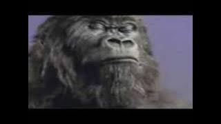Cadbury Gorilla - In The Air Tonight (Extended Mix)