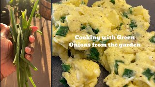 Eggs & Green Onions | Cooking with Green Onions #casouthernbelle