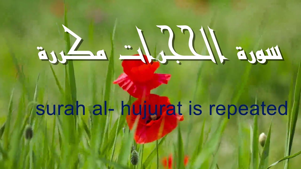 سورة الحجرات مكررة 5مرات بصوت القارئ ماهر المعيقلي  Maher Al-Muaiqly