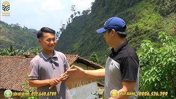 Mí hờ “Cậu bé người H