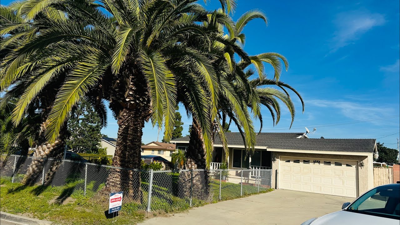 Đi Mua Nhà. Livestream