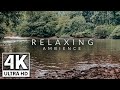 4K Relaxing River - Ultra HD Nature Video - Water Stream &amp; Birdsong Sounds - Sleep/Study/Meditate