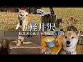 軽井沢にまた住みたくなりました…