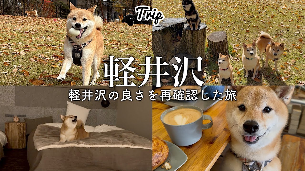 軽井沢にまた住みたくなりました…