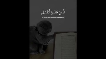 #سورة_إبراهيم #قرآن #ترند#اكسبلور#ترند_السعودية #فيديوهات