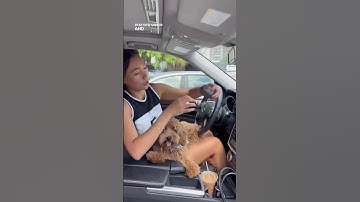 Aroma360 | Smart Car Diffuser