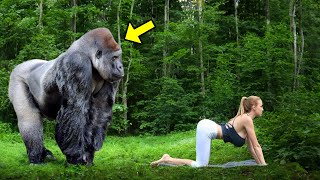 This Story Shocks The Whole World! This is What A Gorilla Does To A Tourist In The Jungle! by UNITY 525,126 views 3 weeks ago 17 minutes