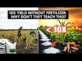 Better Than Fertilizer, Older Than Writing: The Soil Science They Buried