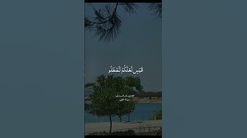 #اكسبلور #المصحف #kuran #حالات_واتس #قران_كريم #لايك #kuranıkerim آيات قصيرة من القرآن حالات واتس آب