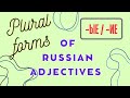 PLURAL Forms of RUSSIAN ADJECTIVES | Russian Grammar Lesson