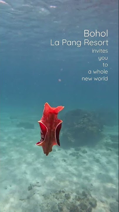 La Pang Resort - Youtube