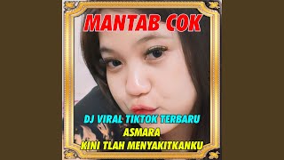 DJ Asmara Kini Tlah Menyakitkan Ku