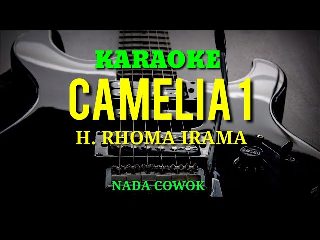 CAMELIA 1 - H. Rhoma Irama ( KARAOKE NADA COWOK ) class=