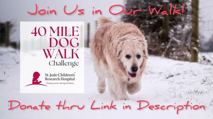 St. Judes 40 Mile Dog Walk - Day Two