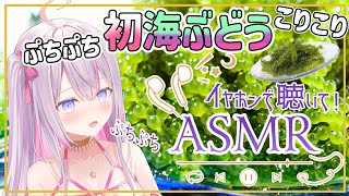 【咀嚼音#ASMR🌸🌙】魔法少女の初海ぶどう！面白い食感かな？ぷちぷちこりこりASMR💚🌊🍇【ナセラ/にじさんじ】