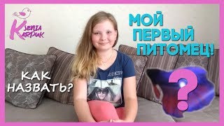 МОЙ НОВЫЙ ПИТОМЕЦ! || СОБИРАЕМ АКВАРИУМ И ЗАСЕЛЯЕМ РЫБКУ! / Карпук Ксения