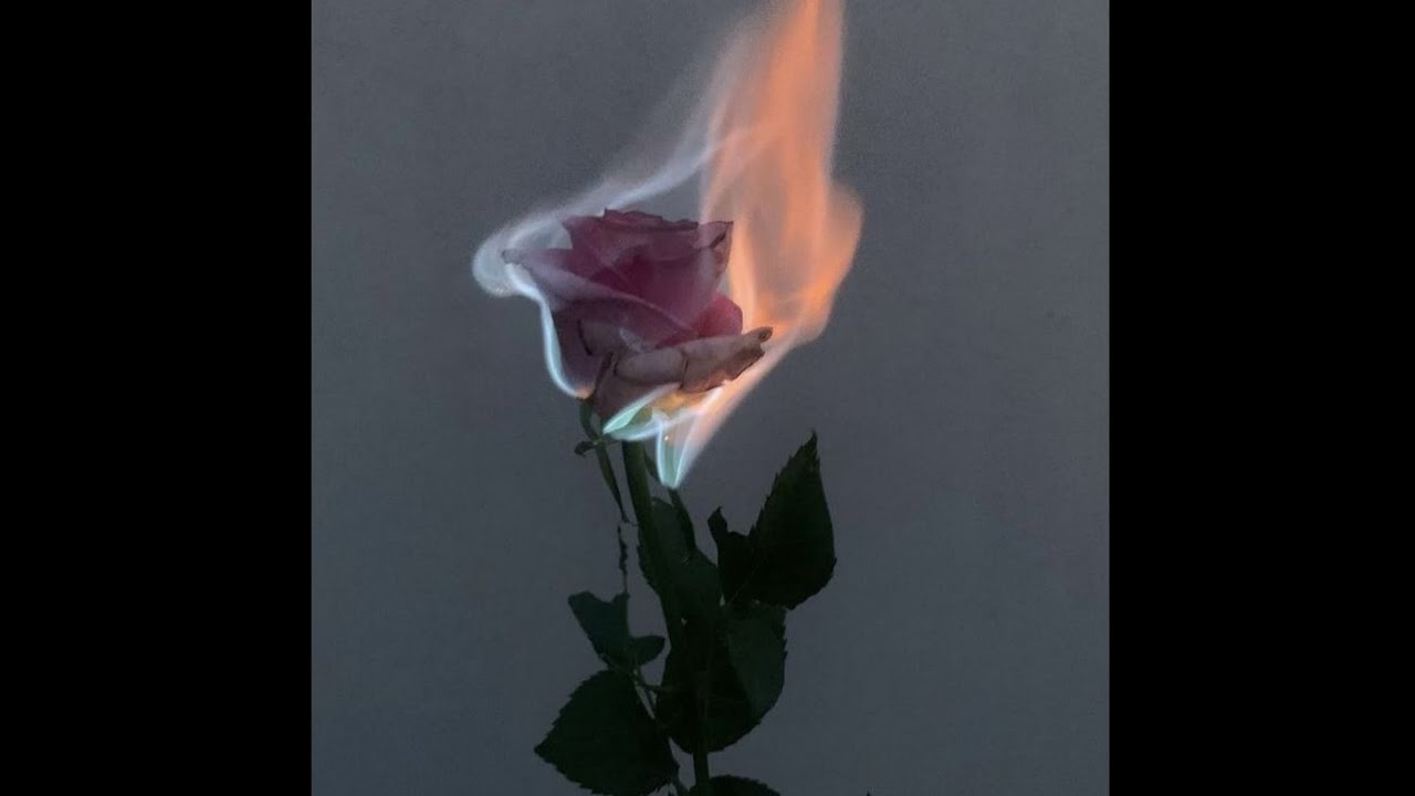 (FREE) Indie Pop Type Beat - Fly High | Acoustic Guitar Type Beat | Emotional Pop