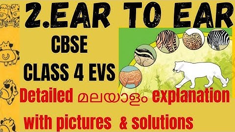 Class 4 EVS/ chapter-2 /Ear to Ear/ malayalam lesson explanation with ncert  question & answers