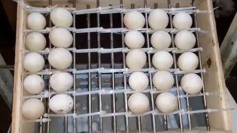 Proyecto Incubadora con arduino y Materiales Reciclados-Sistema de Giro