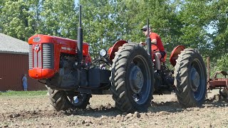 Massey Ferguson 65 4WD Tandem-Tractor Ploughing w/ 5-Furrow Kverneland Plough | Danish Agriculture