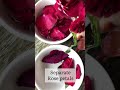 Rose Toner For Pinkish Glow || DIY Rose Toner || Rose Toner For All Skin Type