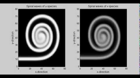 Simulating reaction diffusion model resulting in spiral waves