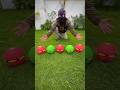 Five Magic Balls 🏀 Unboxing Testing🥎 Five Magic Balls 🏀 Unboxing Testing🥎
