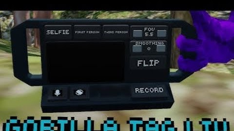 How To Setup Liv Cam In Your Gtag Fan Game