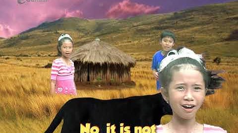 Animals seg3 [Easy English Everyday] | Video Learning Object