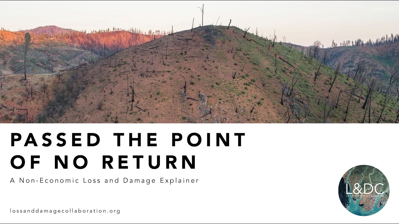 PASSED THE POINT OF NO RETURN: A Non-Economic Loss and Damage (NELD) Explainer | Launch Event