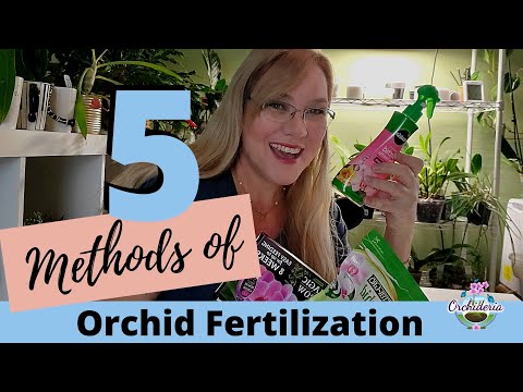 Stop Fertilizing Orchids Like This! Use These Other 4 Methods Instead