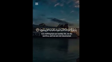 #قرآن-كريم #تلاوة_خاشعة #سورة-المؤمنون #shortvideo #اكسبلور #لايك
