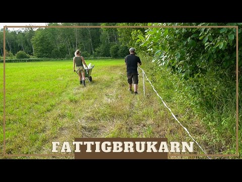 Video: 6 årliga Blommor Sås I April. Namn, Beskrivningar, Foton - Sida 3 Av 6