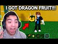 I got dragon fruit in blox fruits 100 theory
