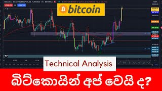 Extreme Fear in the BTC Market.... What will happen? - Sinhala