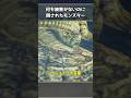 モンハンの何もしてないのに倒されたモンスター3選