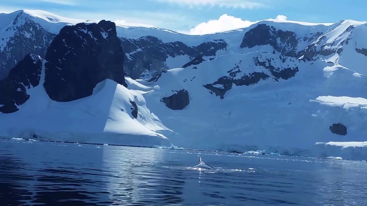 Kayaking around Cuverville Island in Antarctica YouTube