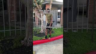 #fyp #viral #funny #relatable #school #comedyvideos #daysoftheweek