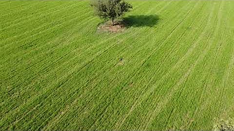 AirRails adds Vision Based Obstacle Avoidance for Crop Sprayers