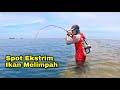 Berani Coba..!! Mancing Di Spot Ekstrim Yang Dihuni Ikan Besar, Sampai Kehabisan Udang