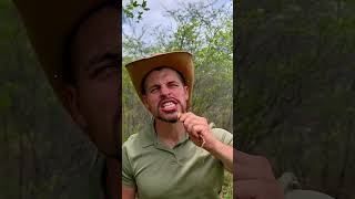 Tribal Food Leaves British Man Amazed