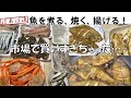 【買い出し】簡単煮イカ　柳カレイ煮る、焼く、揚げる　ワカサギのマリネ　紅ズワイガニ　大量購入　簡単調理　魚の下処理　漁師めし